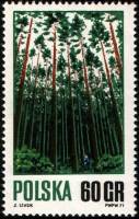(1971-019) Марка Польша "Лес"    Лесное хозяйство III Θ