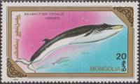(1990-033) Марка Монголия "Финвал"    Киты и дельфины III Θ