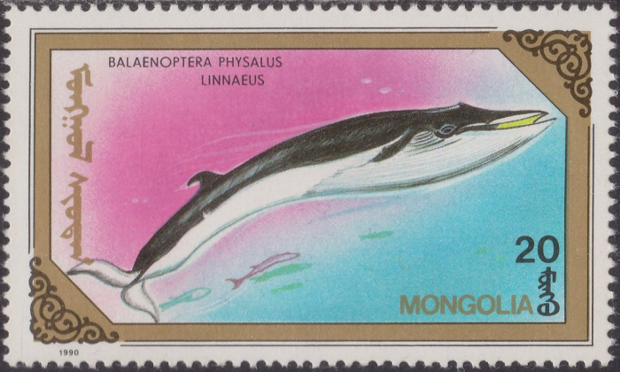 (1990-033) Марка Монголия &quot;Финвал&quot;    Киты и дельфины III Θ