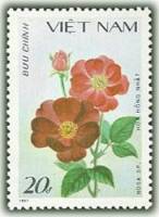 (1988-006) Марка Вьетнам "Красная и коричневая роза"    Розы III Θ