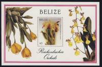 (№1987-94) Блок марок Белиз 1987 год "В отеле cattleya dowiana вар ауреа", Гашеный