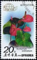 (1989-060) Марка Северная Корея "Антуриум Андре"   Цветы III Θ