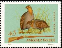 (1964-094) Марка Венгрия "Серая куропатка"    Охота III Θ