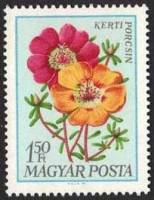 (1968-081) Марка Венгрия "Мексиканская роза"    Садовые цветы III Θ