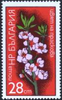 (1975-005) Марка Болгария "Персик"    Цветы фруктовых деревьев III Θ