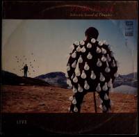 Набор виниловых пластинок (2 шт) Pink Floyd Delicate Sound of Thunder  Мелодия 300 мм. Excellent