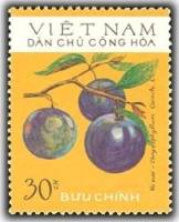 (1975-019) Марка Вьетнам "Звёздное яблоко"   Фрукты III O