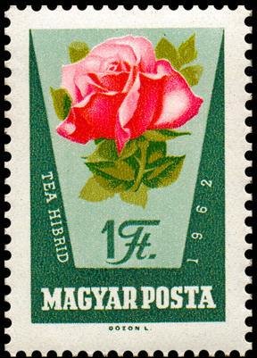 (1962-046) Марка Венгрия "Бело-розовая роза"    Розы I &Theta;