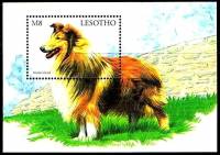 (№1999-144) Блок марок Лесото 1999 год "Колли canis волчанка familiaris", Гашеный