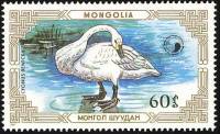 (1987-039) Марка Монголия "Тундровый лебедь"    Лебеди III Θ