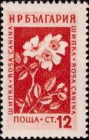 (1953-036) Марка Болгария "Шиповник (Оранжевая)"   Лекарственные растения Болгарии (1) I Θ