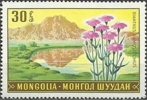 (1969-024) Марка Монголия "Гвоздика сильноветвистая"    Растительный мир Монголии III &Theta;