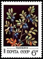 1982-018 Марка СССР Голубика  Дикорастущие ягоды III O