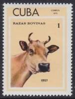 (1973-041) Марка Куба "Джерси"    Крупный рогатый скот III Θ