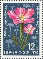 1974-104 Марка СССР Гвоздика разноцветная   Цветы альпийских лугов Средней Азии III O