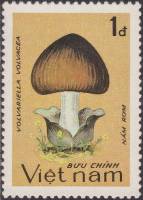 (1983-092) Марка Вьетнам "Вольвариелла вольвовая"    Грибы III Θ