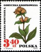 (1967-034) Марка Польша "Горечавка точечная" , III O