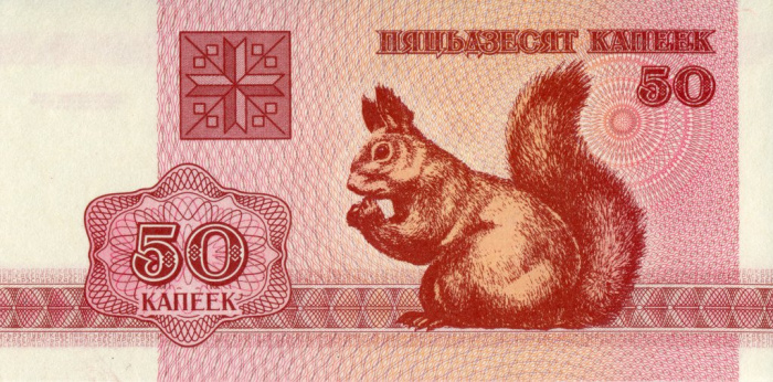 (1992) Банкнота Беларусь 1992 год 50 копеек &quot;Белка&quot;   XF