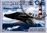 (№2007-3055) Марка Мозамбик 2007 год "Мегаптера novaeangelice", Гашеная