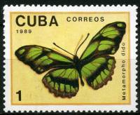 (1989-014) Марка Куба "Дидо длиннокрылая"    Бабочки III Θ