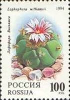 (1994-007) Марка Россия "Лофофора Вильямса"   Комнатные растения. Кактусы III O