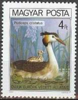 (1980-84) Марка Венгрия "Большая поганка"    Европейская природоохранная кампания "Защита жизни и пр