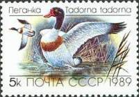 1989-048 Марка СССР Пеганка  Утки III O