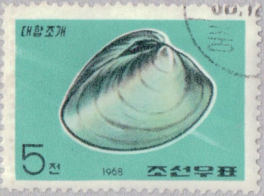 (1968-032) Марка Северная Корея &quot;Гладкий моллюск&quot;   Моллюски III Θ