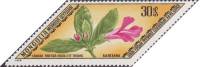 (1975-004) Марка Монголия "Ланцея тибетская"    Редкие лекарственные растения II Θ