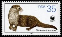 (1987-057) Марка Германия (ГДР) "Выдра (3)"    Охраняемые животные III Θ