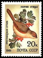 1981-079 Марка СССР Тростниковая сутора  Певчие птицы II Θ