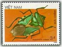 (1987-032) Марка Вьетнам "Зеленый жук"    Насекомые III Θ