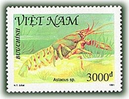 (1991-048) Марка Вьетнам "Широкопалый речной рак"    Ракообразные III &Theta;