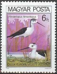(1980-056) Марка Венгрия &quot;Ходулочник&quot; ,  III O