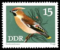 (1973-022) Марка Германия (ГДР) "Свиристель"    Птицы III Θ
