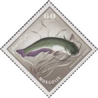 (1965-028) Марка Монголия "Амурский сом"    Речные хищные рыбы III O