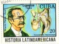 (1989-077) Марка Куба "Рикардо Пальма"    История Латинской Америки III Θ