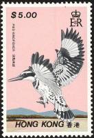 (№1988-539) Марка Гонконг 1988 год "Пестрый Зимородок Ceryle рудис", Гашеная