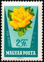 (1962-048) Марка Венгрия "Желтая роза"    Розы III Θ