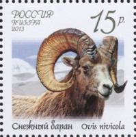 2013-009 Марка Россия Снежный баран  Фауна России. Дикие козлы и бараны III O