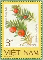 (1986-110) Марка Вьетнам "Китайский тис"    Редкие растения III Θ