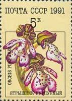 (1991-038) Марка СССР "Ятрышник пурпурный"   Орхидеи III Θ