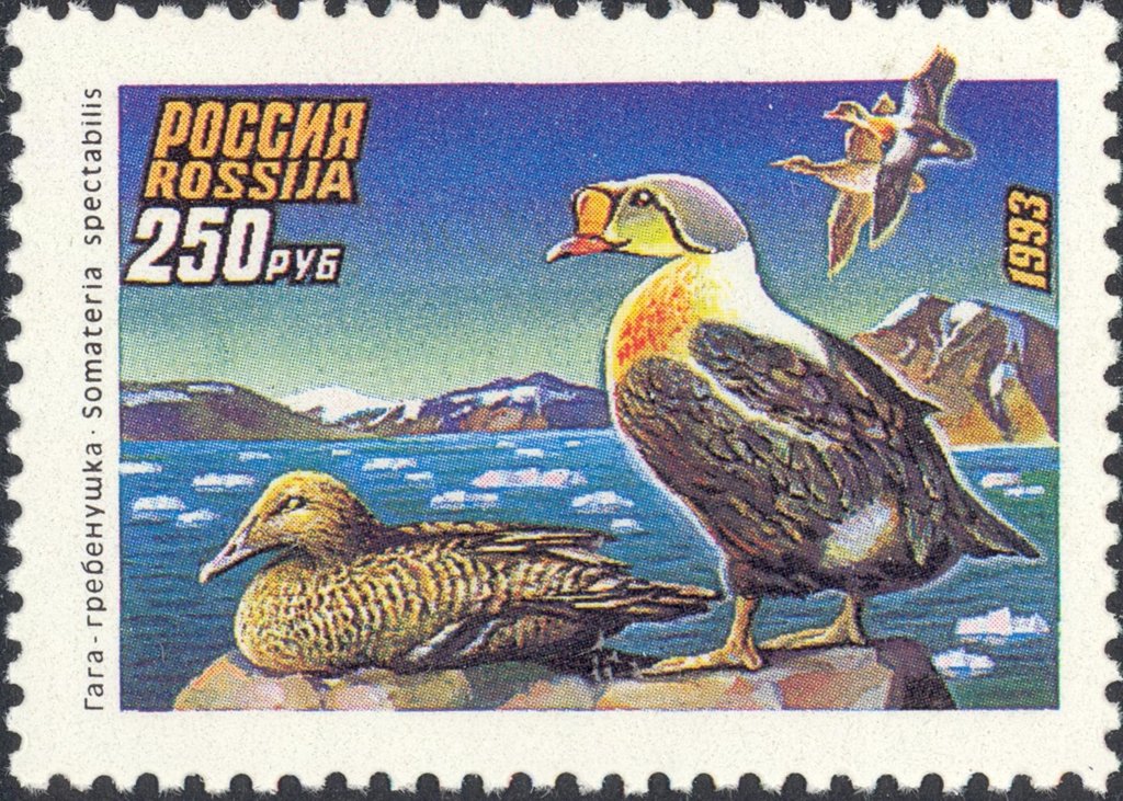 (1993-038-40) Лист марок (9 м 3х3) Россия &quot;Утки&quot; , III O