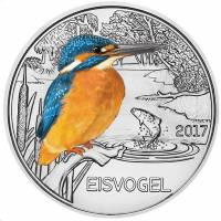 (003) Монета Австрия 2017 год 3 евро "Зимородок"  Цветная Медь-Никель  UNC