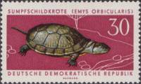 (1963-048) Марка Германия (ГДР) "Болотная черепаха"    Охраняемые животные III O