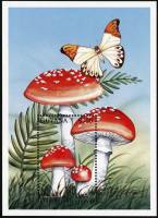 (№1997-531) Блок марок Гайана 1997 год "Мухомор красный", Гашеный