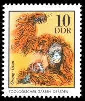(1975-022) Марка Германия (ГДР) "Калимантанский орангутан"    Животные зоопарка II Θ