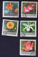 1969-032-36  Серия Набор марок (5 шт) СССР  Ботанический сад Академии наук Москва II Θ