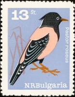 (1965-027) Марка Болгария "Скворец розовый"   Певчие птицы III Θ