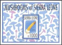 (№1993-220) Блок марок Сьерра-Леоне 1993 год "Фаллос rubicundus", Гашеный